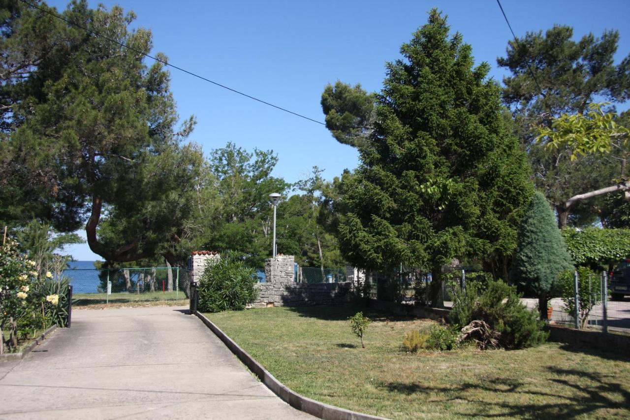 Apartman Rino Basanija Bagian luar foto